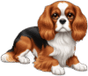 Hazel Cavalier King Charles Home